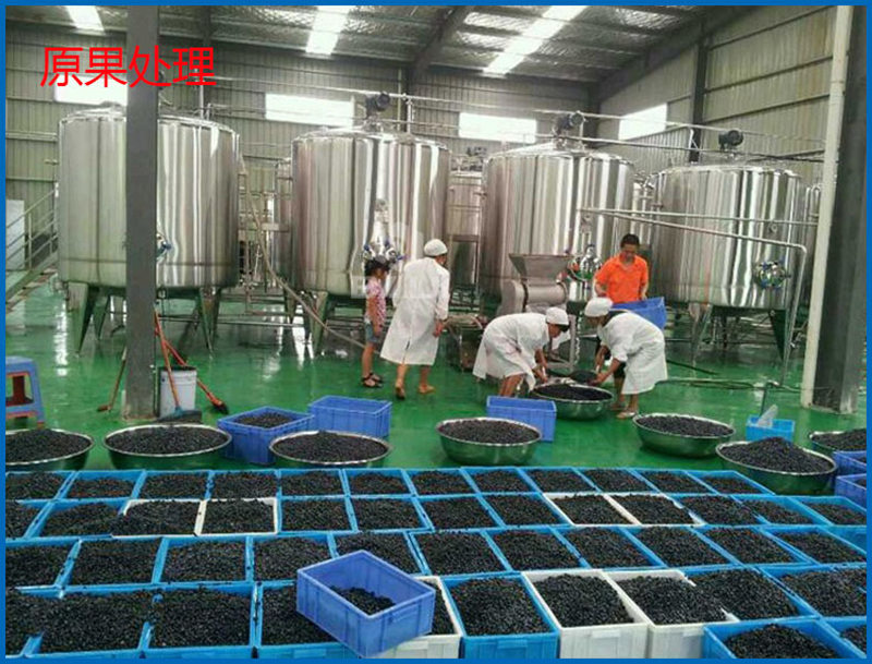 牡丹酒成套发酵灌装设备 每天2吨加工果酒生产线（中意。