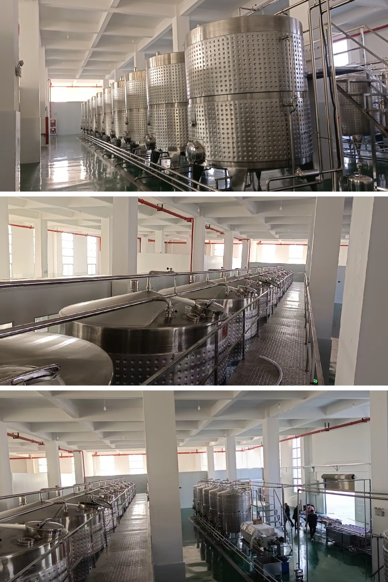 石榴汁自动化加工设备 成套生产石榴酒设备厂家（500吨）